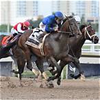 best horses to bet on